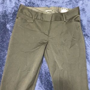 NWT 6R Express Columnist pants